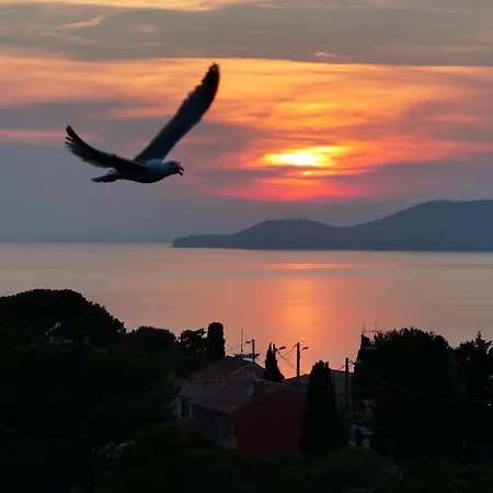 T3 Escale A Giens Apartment