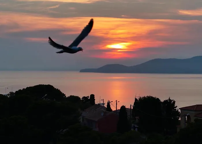 T3 Escale A Giens Lägenhet