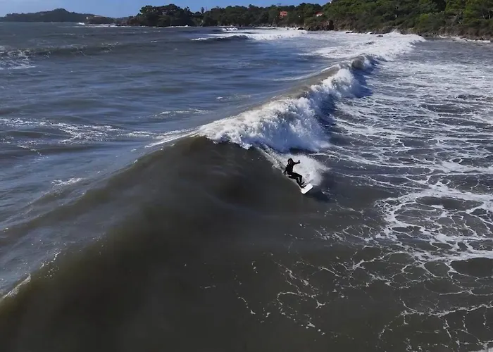 Apartman T3 Escale A Giens *